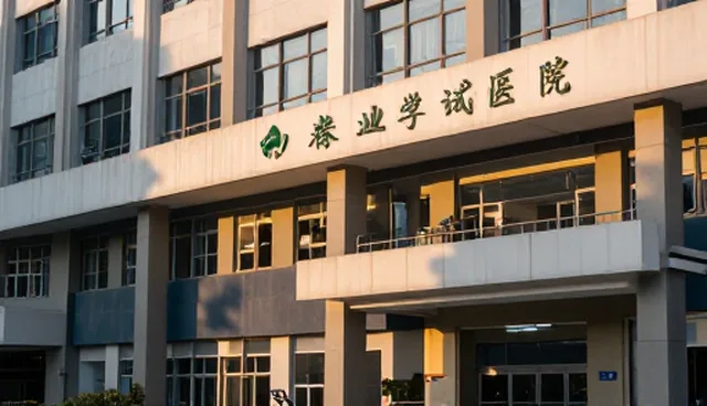反推视频提示词的软件:两种做法的取舍与选择